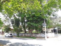 #TR11207 - Área para Venda em São Paulo - SP - 3