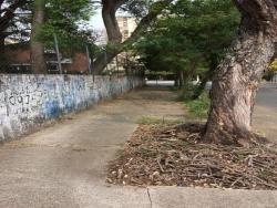 Área para Venda em São Paulo - 5