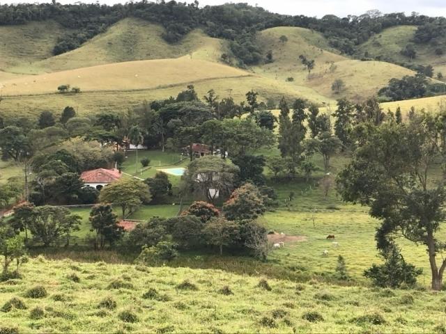 #FZ13225 - Fazenda para Venda em Santa Branca - SP - 3