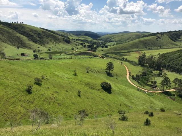 #FZ13225 - Fazenda para Venda em Santa Branca - SP - 2