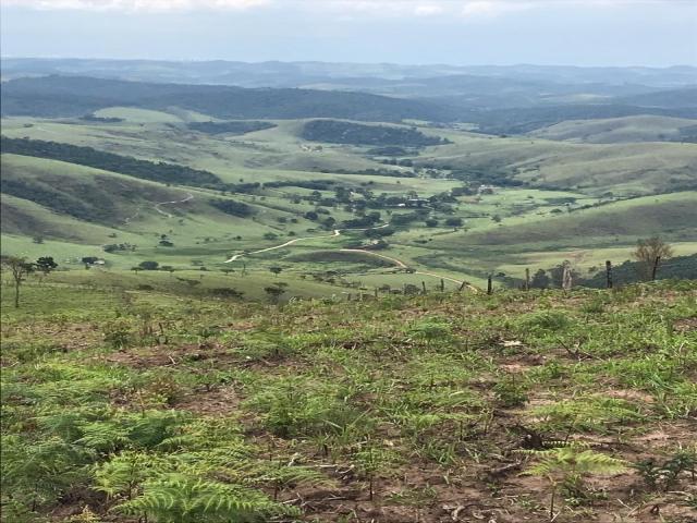 #FZ13225 - Fazenda para Venda em Santa Branca - SP - 1