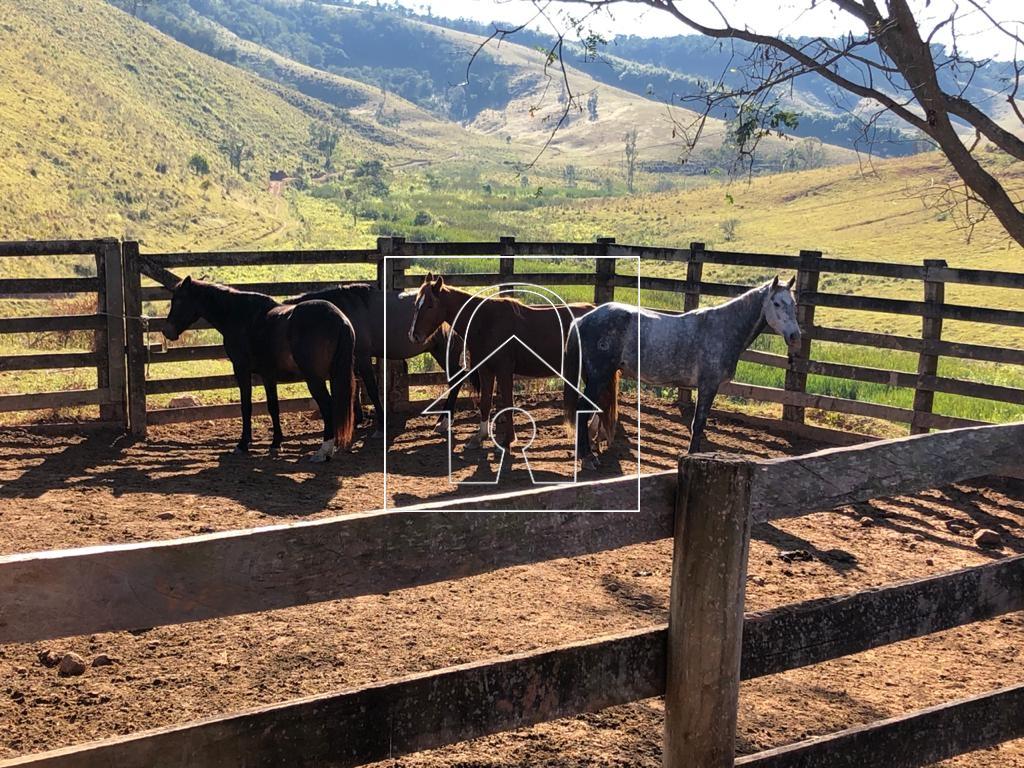 Fazenda, 1067 m² - Foto 14