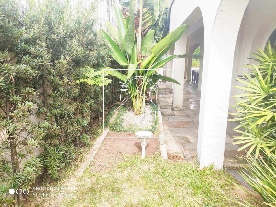 Casa, 5 quartos, 1000 m² - Foto 6