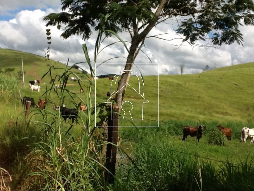 Fazenda, 1067 m² - Foto 31