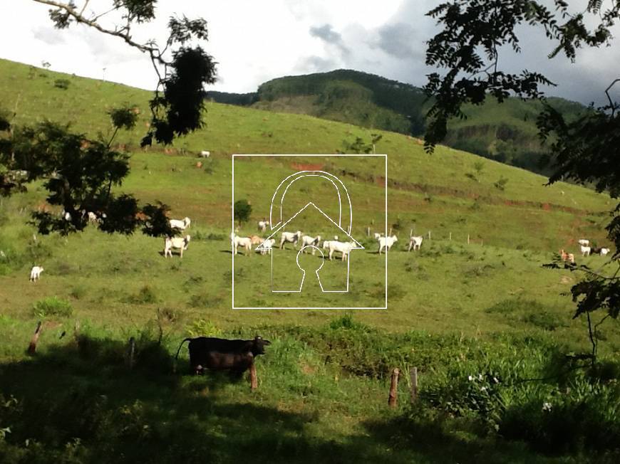 Fazenda, 1067 m² - Foto 48