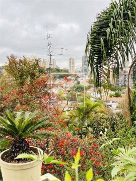 Casa, 4 quartos, 460 m² - Foto 29