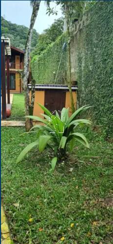 Casa, 4 quartos, 250 m² - Foto 6