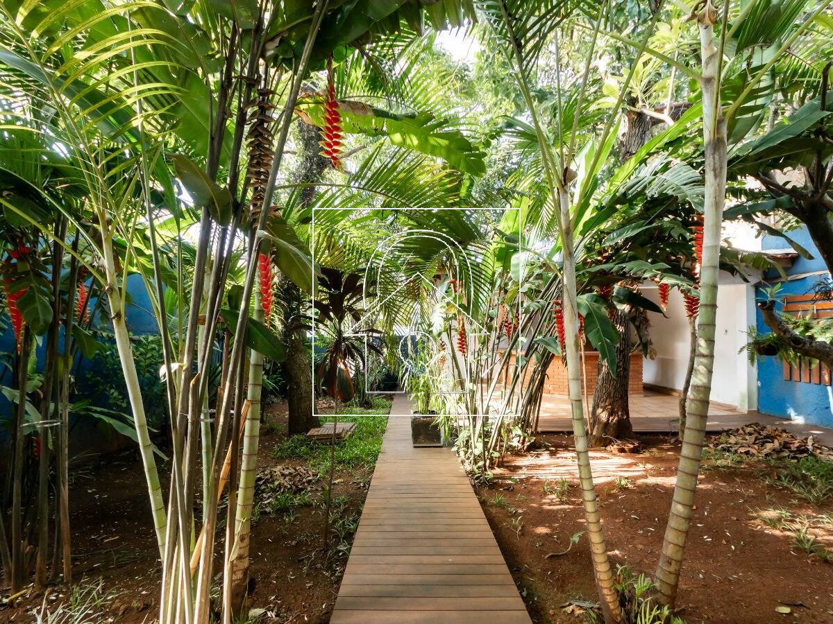 Casa, 3 quartos, 563 m² - Foto 40