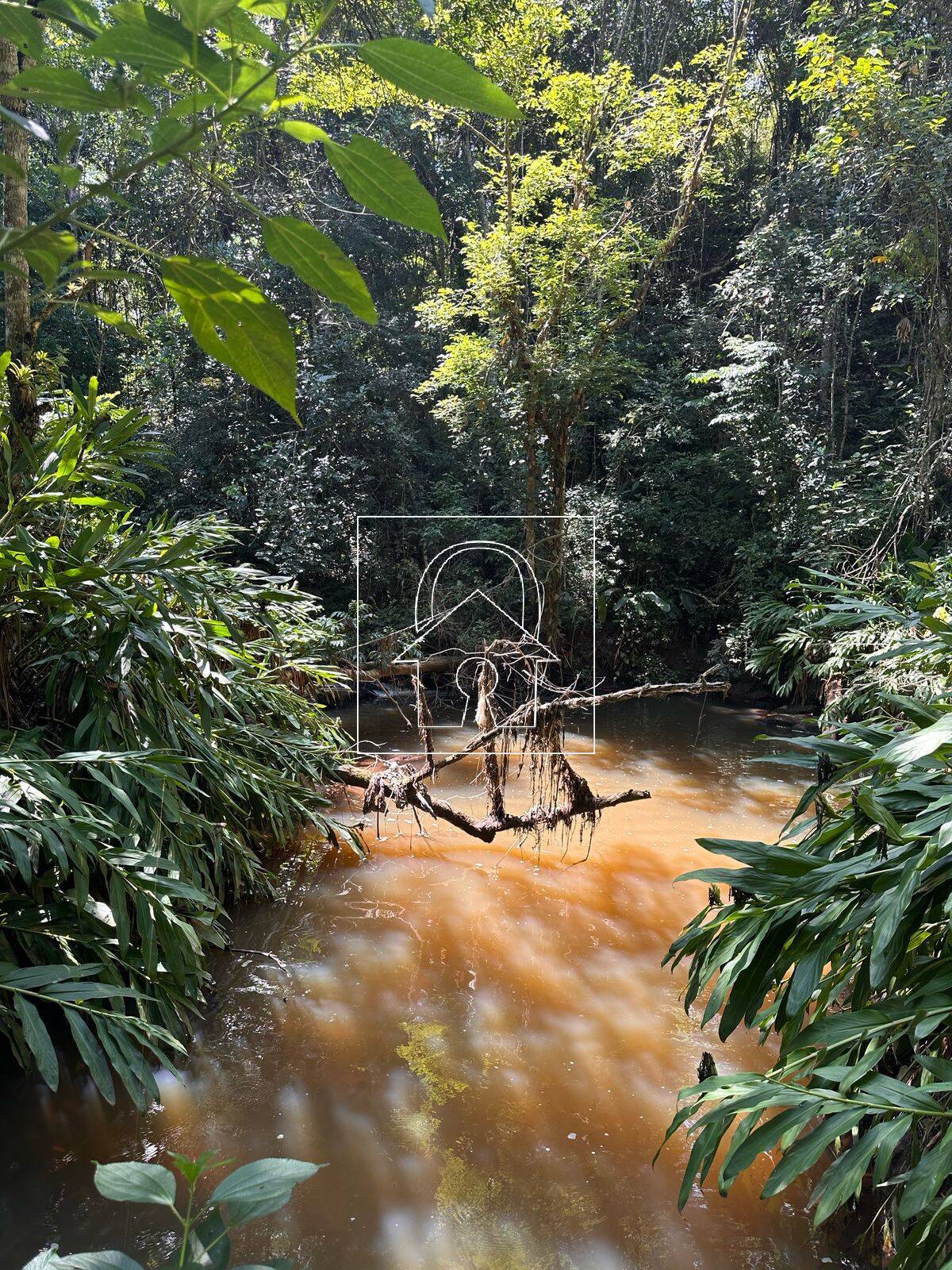 Sítio, 4 quartos, 2 hectares - Foto 16