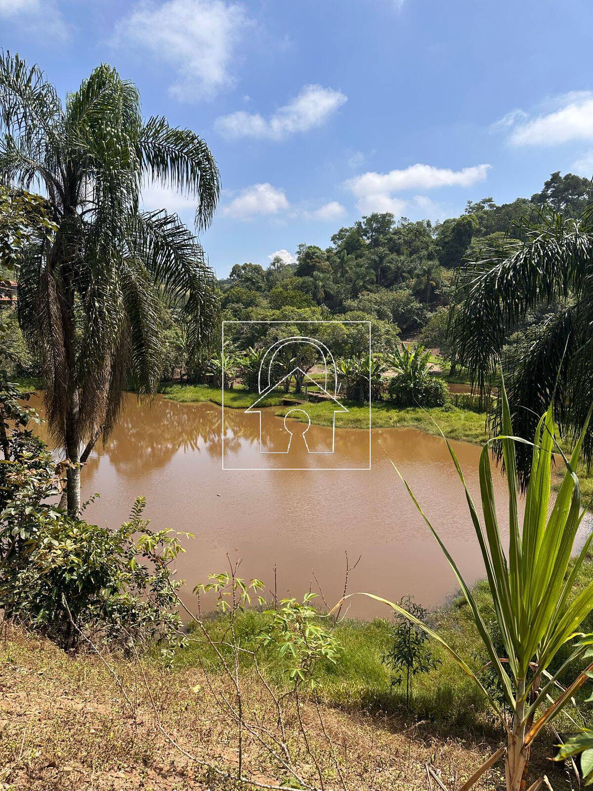 Sítio, 4 quartos, 2 hectares - Foto 30