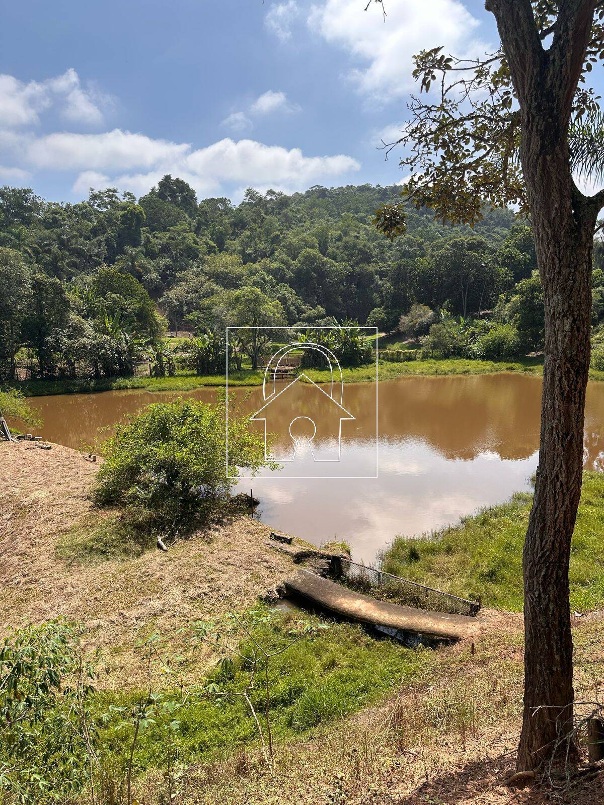 Sítio, 4 quartos, 2 hectares - Foto 32