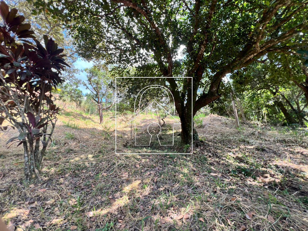Sítio, 6 quartos, 3300 m² - Foto 13